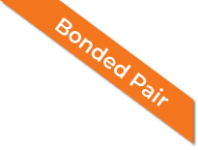 Web-Badge_Bonded-Pair-lg