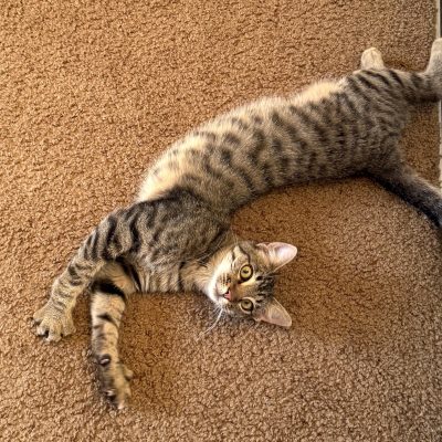 Wesley IMG_2663