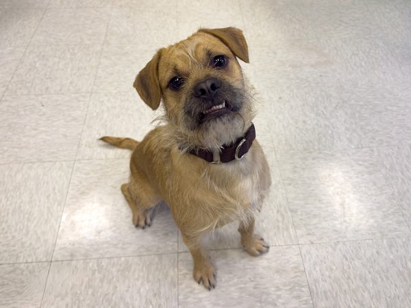 Wiket_JB_04212026_IMG_5194