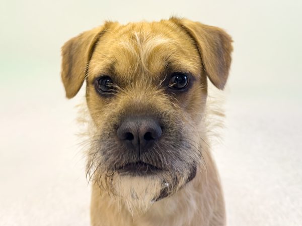 Wiket_JB_04212026_IMG_5197