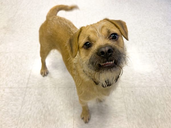 Wiket_JB_04212026_IMG_5202