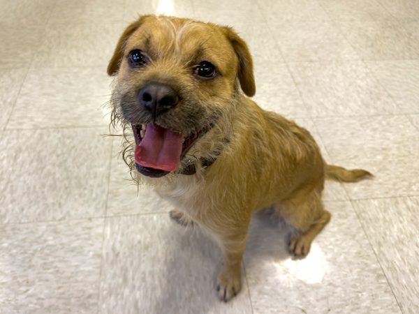 Wiket_JB_04212026_IMG_5213