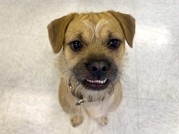 Wiket_JB_04212026_IMG_5215