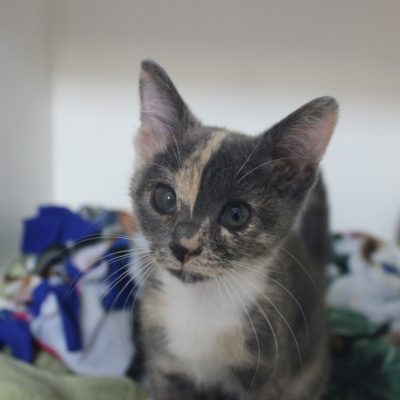 Zellie1 IMG_1051