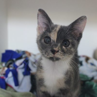 Zellie2 IMG_1053