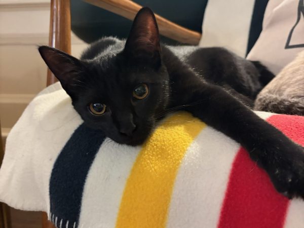 a1241f2e561d488a996c7df931b138ce