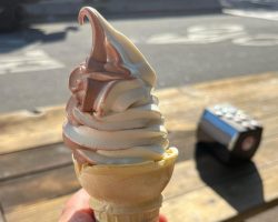 food-browncap2