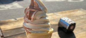 food-browncap2