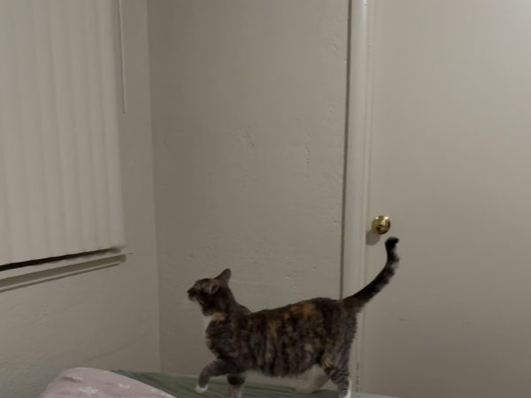 image3 (10)
