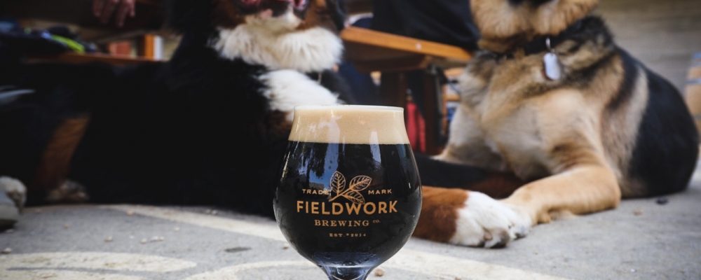 Mariners to host 'pints for paws' benefiting animal rescue shelters 