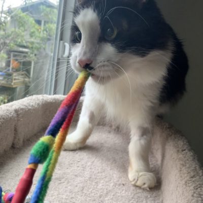 sampson3