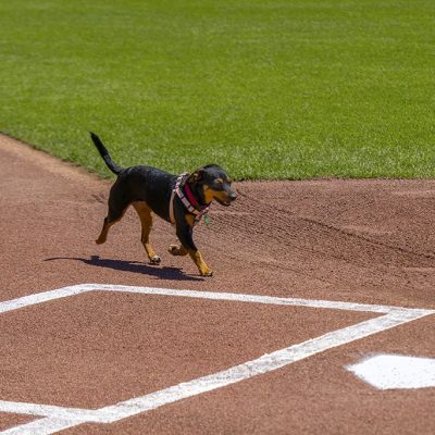 thumbnail_2025-07-10-Giants-NBC-Lana-2