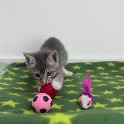 thumbnail_IMG_3482