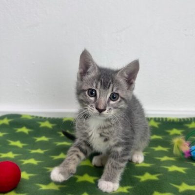 thumbnail_IMG_3495