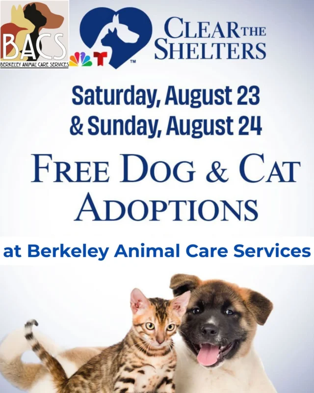 Help us Clear the Shelters! We will have FREE Dog & Cat Adoptions all weekend long! Come meet adoptable dogs at the berkeleyhumane Bark & Meow Around The Block Event TODAY until 4pm, or swing by the shelter at 1 Bolivar Drive in Berkeley! Hope to see you there! 

#CleartheShelters #BATB #BATBAdopt #FreeAdoptions #BerkeleyAnimalCareServices #CityofBerkeley #adoptdontshop