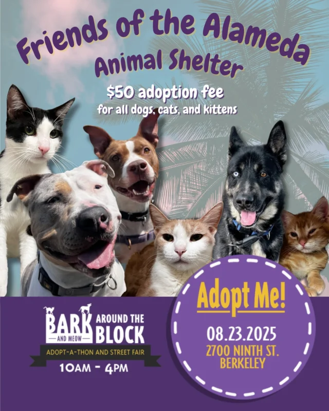 For today only, ALL animals at the event and at shelter’s adoption fees are $50 for FAAS animals during Bark Around the Block! All animals at our event are spayed, neutered, and microchipped. We hope you’ll bring one of our sweet babies home! 🥰 Make sure to mention this to our staff when you arrive ❤️ #alameda #adoptdontshop #dogadoption #catadoption #BATBAdopt