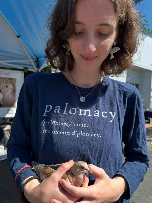 We're here at berkeleyhumane 's Bark & Meow (& Coo) Around the Block! #BATBAdopt Come by & say Hi! Rescued adoptable unreleasable pigeons & doves. #palomacy #pigeondiplomacy