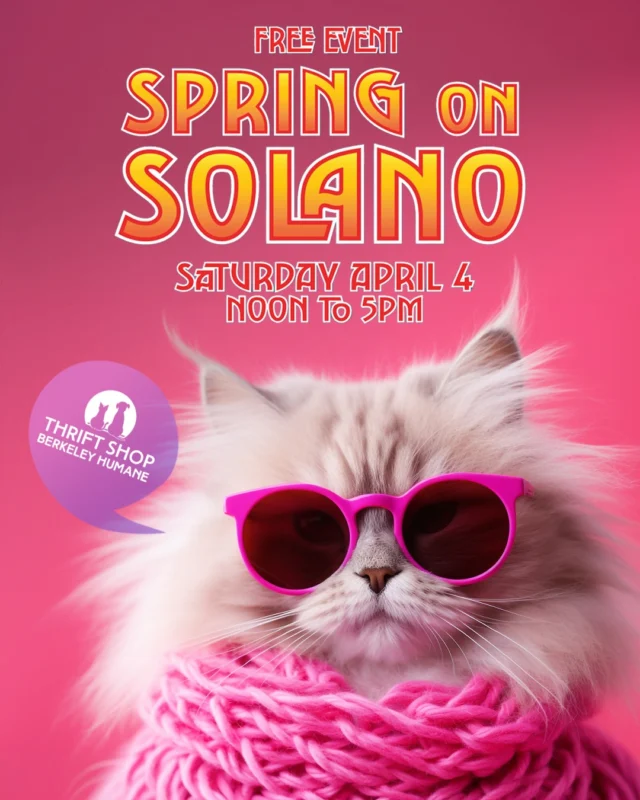 Spring on Solano is ON this Saturday 🔥

Live music, activities, local vendors, and shops all along the avenue—plus plenty of reasons to swing by Berkeley Humane Thrift Shop.
Pants on Fire is in full swing, with select denim just $5. The kind you grab now and wear on repeat.

Saturday, April 4
Noon to 5PM

📍 Berkeley Humane Thrift Shops
1120 Solano Ave, Albany
2644 Ashby Ave, Berkeley

Here for Solano. Leaving with denim 🔥

#BerkeleyHumane #BerkeleyHumaneLove
#PantsOnFire #SpringOnSolano #ThriftFinds #ThriftStyle
#BayAreaEvents #AlbanyCA #BerkeleyCA #EastBayShopping
#SustainableStyle #SecondhandFirst #ShopForACause