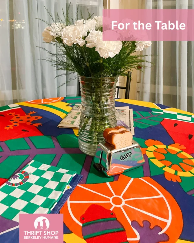 🍽️ For the Table

Color. Pattern. A few pieces that change the whole setup.

The right tablecloth, a standout vase, something hand-painted you didn’t expect… it doesn’t take much.

Just a few good finds.

See what’s new for the home at Thrift Shop Berkeley Humane.
berkeleyhumane.org/thrift-shop/

#BerkeleyHumane #BerkeleyHumaneLove #HomeFinds #ThriftHome #ThriftDecor #BayAreaHomes #EastBayLiving #SecondhandHome #SustainableHome #VintageFinds #ThriftStyle #ShopSecondhand