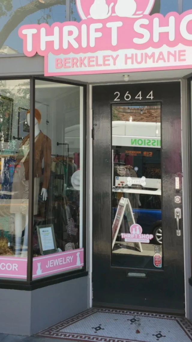 The best part of shopping local? Every treasure you pick up at Berkeley Humane Thrift Shops does more than go home with you — it fuels the Hope Medical Fund, giving injured and sick shelter pets the critical care they deserve.

When you shop this weekend, you’re not just finding something cool.
You’re helping a pet start a new chapter.
Shop Solano. Shop Ashby. Shop for good!

berkeleyhumane.org/thrift

#BerkeleyHumane #BerkeleyHumaneLove #ShopLocal #ThriftShopFinds #BayAreaThrift #BayAreaLife #EastBayLife #BerkeleyThrift #ShoppingForGood #HopeMedicalFund #SupportLocal #BayAreaCommunity #ThriftStyle #SustainableShopping #BerkeleyShops #ResaleReimagined #TreasureHunting #EveryPurchaseMatters