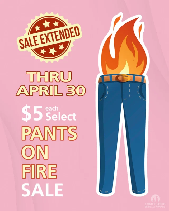 The fire’s still going!

The Pants on Fire Sale isn’t done just yet… we’ve extended it through April 30. Same heat, same racks, still plenty to dig through.

Denim doesn’t sit still for long. Neither should you.
berkeleyhumane.org/thrift-shop/

#BerkeleyHumane #BerkeleyHumaneLove #ThriftFinds #DenimDeals #BayAreaThrift #EastBayStyle #ThriftShopFinds #SustainableStyle #ShopSecondhand #BayAreaShopping #ThriftLife #HiddenGems
