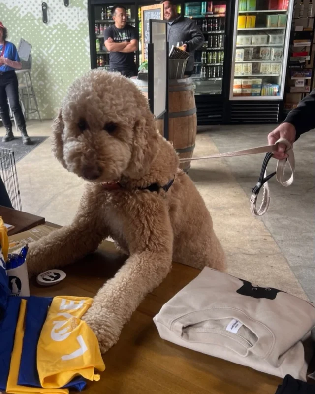 Charley loves a good raffle! Support Berkeley Humane! #supportp4p