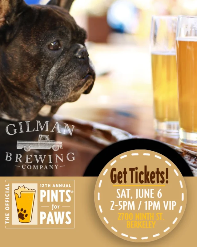 We’ll be pouring at this year’s Pints for Paws in Berkeley and bringing along a few of our core classics—plus a surprise or two up our sleeve for the beer lovers who stop by. 👀🍺
Come hang with us, sip some great beer, support an amazing cause, and spend the afternoon surrounded by pups and good vibes.
📍 2700 Ninth St. Berkeley 
🗓️ Saturday, June 6
⏰ 2–5PM | 1PM VIP
Grab your tickets and come raise a pint for a great cause. We can’t wait to see you (and your dogs 🐶)!
#PintsForPaws #GilmanBrewing #DrinkBeerDoGood #BerkeleyEvents #DogFriendly #CraftBeer #EastBayEvents #BeerAndDogs #supportp4p

pawsforpints