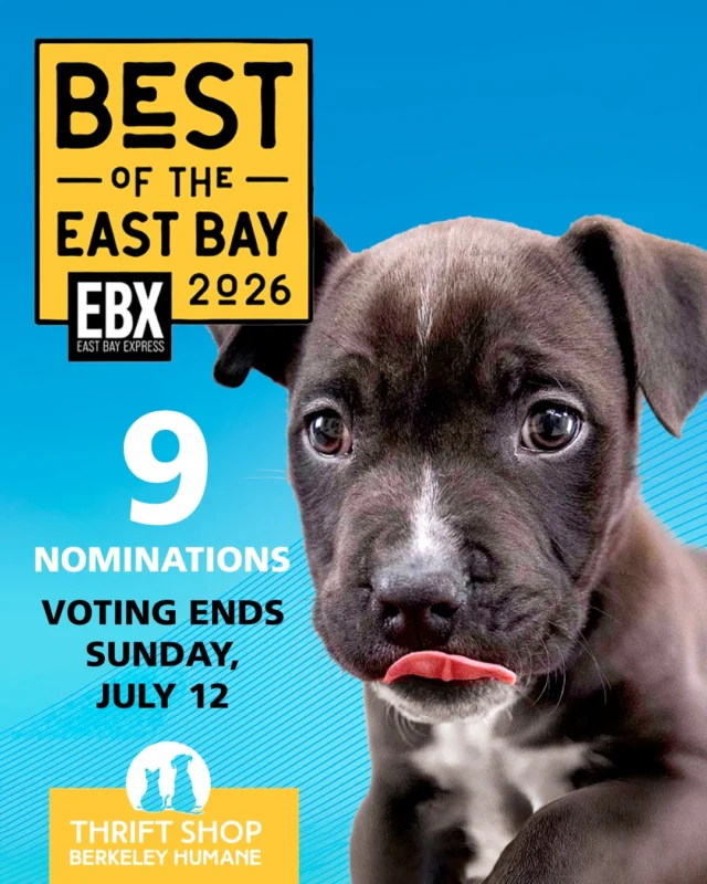 Berkeley Humane is nominated in 9 categories for East Bay Express Best of the East Bay 2026!

Voting is open now through midnight on Sunday, July 12, and we’d love your support.
Your vote helps celebrate the shelter pets, community programs, training resources, charitable events, and Thrift Shops that make Berkeley Humane such a special part of the East Bay.

Vote for Berkeley Humane in:

Arts & Culture
Pints For Paws: Best Charitable Events

Family & Pets
Best Animal Adoption Center
Best Animal Rescue Group
Best Dog Trainer

Goods & Services
Best Non-Profit Organization
Best Clothing Store - Women’s
Best Thrift Store
Best Resale
Best Vintage Clothing Store

Cast your vote today and help Berkeley Humane bring home the win for shelter pets and the community that loves them.

Vote by midnight, Sunday, July 12: eastbayexpress.com/best-of-ballot/#//

#BerkeleyHumane #BestOfTheEastBay #EastBayExpress #BerkeleyCA #EastBayPets #AdoptDontShop #AnimalRescue #ShelterPets #ThriftShopFinds #SupportLocal