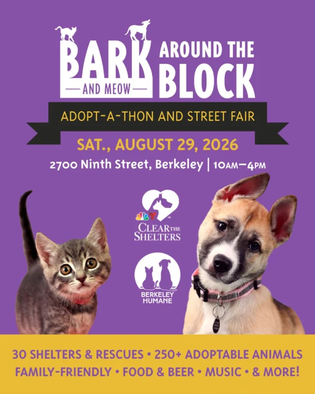 SAVE THE DATE!

California’s largest single-location pet adoption event is back!

Bark (& Meow) Around the Block
Saturday, August 29, 2026
10:00 a.m.–4:00 p.m.
Berkeley Humane
2700 Ninth Street, Berkeley
FREE admission

For one incredible day, two city blocks will come alive with hundreds of adoptable dogs, cats, puppies, and kittens from more than 30 Bay Area shelters and rescue organizations.

Meet amazing adoptable animals, enjoy delicious food and local beer, listen to music from a live DJ, shop with pet and community vendors, and join family-friendly activities throughout the day. Most adoption fees will be waived or reduced!

Whether you’re ready to adopt or simply want to spend the day surrounded by animals and fellow pet lovers, you will not want to miss Berkeley’s biggest pet-filled day of the summer.

Mark your calendar. More exciting details are coming soon!

Presented in partnership with @NBCBayArea’s Clear the Shelters.

berkeleyhumane.org/events/bark-and-meow/

#BATBAdopt26 #BarkAndMeowAroundTheBlock #BerkeleyHumane #ClearTheShelters #NBCBayArea #PetAdoption #AdoptLocal #BerkeleyCA #BayAreaEvents