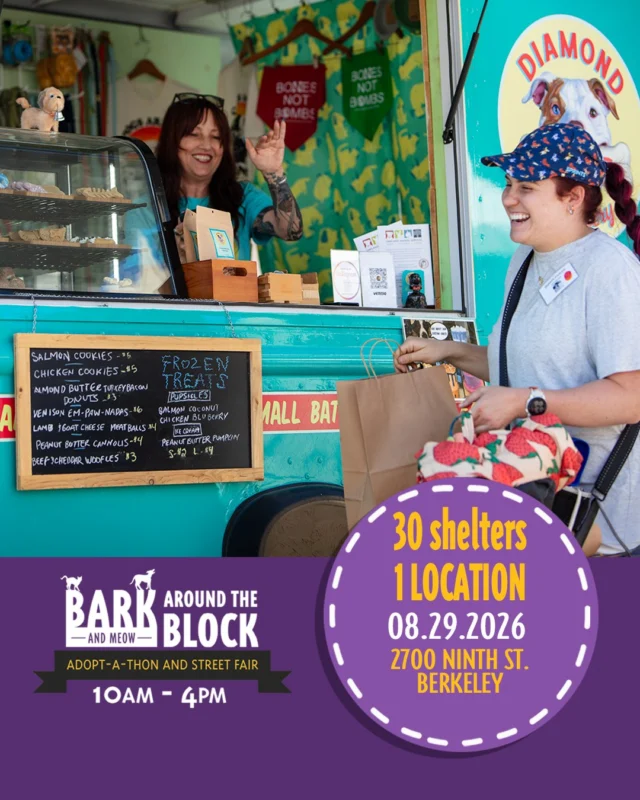We’re excited to welcome Diamond Dog Treatery to Bark (& Meow) Around the Block! 

Diamond Dog Treatery offers thoughtfully selected pet products with a focus on sustainability, enrichment, and giving back. Even better, 100% of the profits from select items on their truck are donated to animal shelters. 

Stop by and check them out on Saturday, August 29 from 10 AM–4 PM at Berkeley Humane, 2700 Ninth Street in Berkeley. 

With 300+ adoptable pets, 30+ shelters and rescues, pet-friendly vendors, food, a DJ, and FREE admission, there’s plenty to explore throughout the day. 

#BATBAdopt26 #NBCBayArea #Telemundo48 #NBCCleartheshelters #BerkeleyHumane #PetAdoptionEvent #BayAreaPets #AdoptLocal #ShelterPets