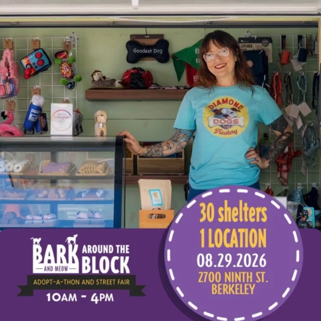 We’re so excited to be back at Berkeley Humane’s “Bark (and Meow) Around The Block” this year! Always one of our favorites. As we will be surrounded by the cutest adoptable pups from 30 Bay Area shelters! 

We will be slinging our all natural, mostly organic pet pastries. You will also be able to shop inside the truck! Check out our carefully curated array of pet supplies. All sourced from other eco-conscious businesses!

#batbadopt26 #berkeleyhumane #diamonddogstreatery #mobiledogbakery #dogbakery