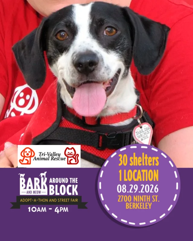We’re excited to welcome Tri-Valley Animal Rescue to Bark (& Meow) Around the Block! Tri-Valley Animal Rescue is dedicated to helping animals in need find loving homes and giving them the care, compassion, and second chances they deserve. 

Come meet the Tri-Valley Animal Rescue team and learn more about their work on Saturday, August 29 from 10 AM–4 PM at 2700 Ninth Street in Berkeley! 

With 300+ adoptable animals, 30+ shelters and rescue organizations, pet-friendly vendors, food, a DJ, and FREE admission, it’s a day you won’t want to miss. 

Come celebrate animals, meet your new best friend, and help give shelter pets a new chapter. 

#BATBAdopt26 #NBCBayArea #Telemundo48 #NBCClearTheShelters #VisitBerkeley #BerkeleyHumane #AdoptDontShop #PetAdoption #Berkeley