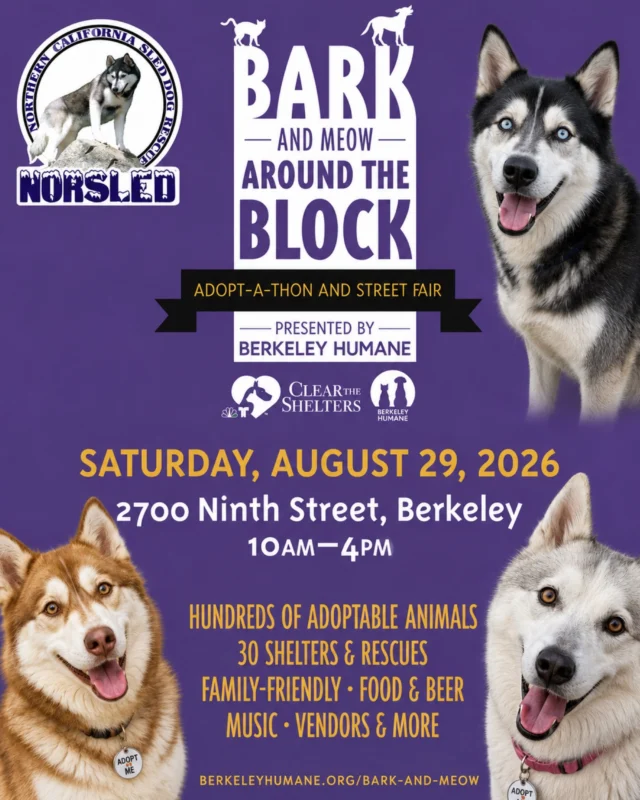 🎉 NorSled is heading to Bark (& Meow) Around the Block! 

We’re excited to be part of one of California’s BIGGEST pet adoption events! More than 300 adoptable pets from 30+ shelters and rescues will take over Berkeley for a great day dedicated to finding animals their forever homes. 

Bring the family, bring your friends - and yes, bring the furry ones! Come and enjoy the music, food, drinks and local vendors.

And most importantly… come meet some of NorSled’s adoptable pups! 

🪴 gardenforgoodca will be joining us! 

🐾 Bark (& Meow) Around the Block
📅 Saturday, August 29th
⏰ 10 AM–4 PM
📍 2700 Ninth Street, Berkeley
🎟️ FREE admission

Hundreds of animals. Dozens of rescues. One HUGE adoption day. Come say hi to NorSled! Your new best friend might be waiting!

#batbadopt26 #NBCBayArea #berkeleyhumane #norsled #adoptdontshop #fosteringsaveslives