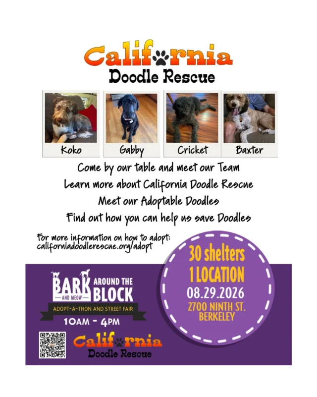 COME SEE US! Come by our table and meet our Team. Learn more about California Doodle Rescue. Meet our Adoptable Doodles.
Find out how you can help us save Doodles
For more information on how to adopt:
californiadoodlerescue.org/adopt
#BATBAdopt26