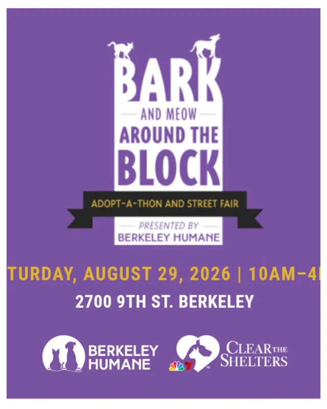 Come join us at Bark and Meow Around the Block! Saturday August 29th 10-4. #BATBAdopt26 #catlover #doglover #adoptarescuedog