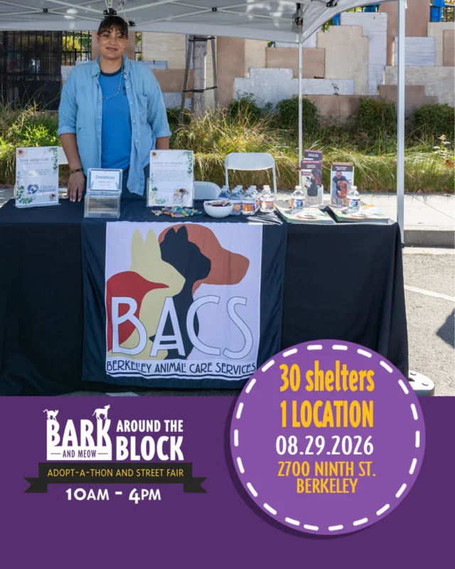 We’re excited to welcome Berkeley Animal Care Services (BACS) to Bark (& Meow) Around the Block! BACS helps care for stray, lost, surrendered, and abandoned animals while providing adoption services and working to connect shelter pets with loving homes. 

Come meet the BACS team and learn more about the important work they do for animals and our local community on Saturday, August 29 from 10 AM–4 PM at 2700 Ninth Street in Berkeley! 

With 300+ adoptable animals, 30+ shelters and rescue organizations, pet-friendly vendors, food, a DJ, and FREE admission, there will be something for every animal lover! 

#BATBAdopt26 #NBCBayArea #Telemundo48 #NBCClearTheShelters #VisitBerkeley #BerkeleyHumane #AdoptDontShop #PetAdoption #Berkeley