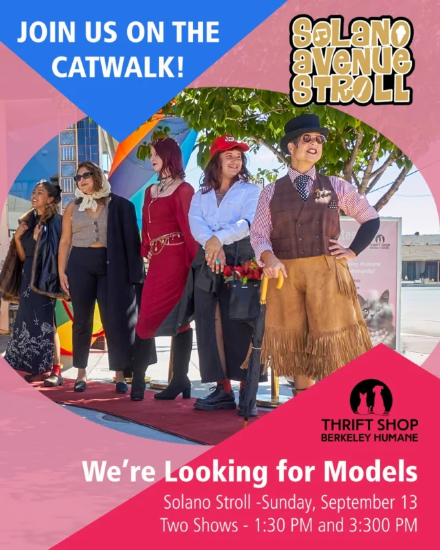 JOIN US ON THE CATWALK THIS SUNDAY!
Models Wanted for Solano Stroll

Berkeley Humane Thrift Shop is looking for models for our Solano Stroll fashion shows this Sunday, September 13!

We’ll have two shows at 1:30 PM and 3:30 PM, featuring fun, eclectic thrift shop finds.

We’re looking for:
• Ages 16+
• All sizes and styles
• No modeling experience necessary
• Approximately 10–15 models per show

Plan for about **one hour** to get dressed, hit the catwalk, and change afterward.

Spots are limited, so contact either Berkeley Humane Thrift Shop today to sign up!

Albany Thrift Shop
1120 Solano Ave., Albany
(510) 647-9445
Tues–Sun, 11 AM–6 PM

Berkeley Thrift Shop
2644 Ashby Ave., Berkeley
(510) 898-1237
Tues–Sun, 11 AM–6 PM

#SolanoStroll #BerkeleyHumane #BerkeleyHumaneThriftShop #ThriftShopBerkeleyHumane #ThriftFashion #FashionShow