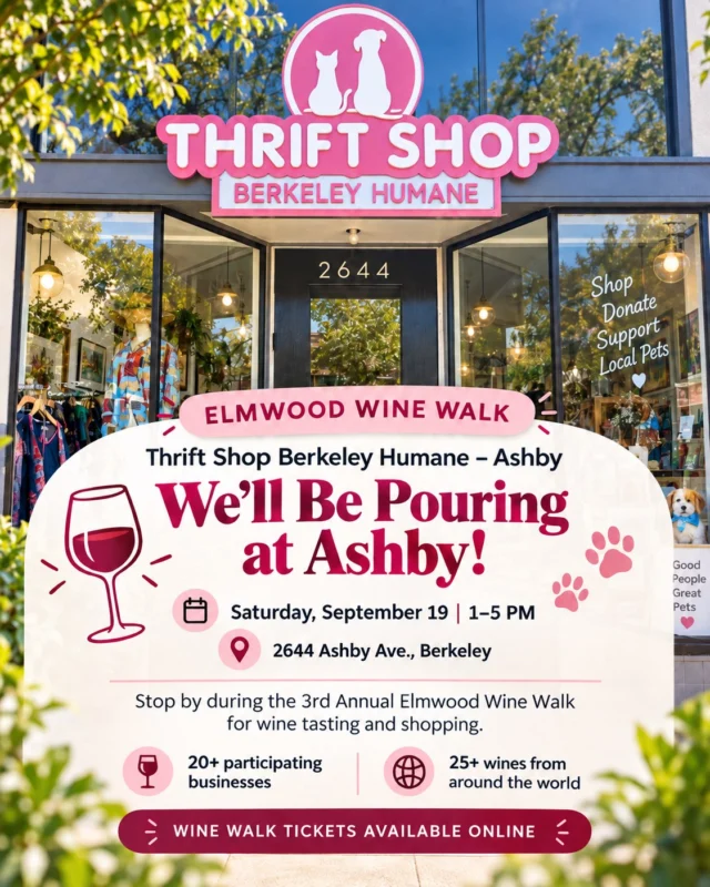 We’ll be pouring at Ashby this Saturday!

Thrift Shop Berkeley Humane – Ashby is one of the participating stops for the 3rd Annual Elmwood Wine Walk, happening Saturday, September 19 from 1–5 PM.

Stop in, taste what we’re pouring, browse the shop, and then continue through the neighborhood with 20+ participating Elmwood businesses and 25+ wines from around the world.

Thrift Shop Berkeley Humane – Ashby

2644 Ashby Ave., Berkeley
Saturday, September 19 | 1–5 PM

Wine Walk tickets are available online, with day-of tickets also available.

Get your tickets at:
https://www.vintageberkeley.com/products/the-elmwood-wine-walk-saturday-september-19?_pos=1&_sid=015bb7f56&_ss=r